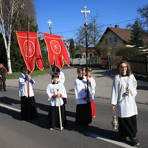 Palmweihe & Festzug