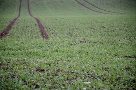 Fernreisen: Ein neuer Blick auf die Welt / © Katholische Männerbewegung der Diözese Linz Fernreisen: Ein neuer Blick auf die Welt