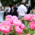 Empfang für Medienschaffende im Garten des Linzer Bischofshofs