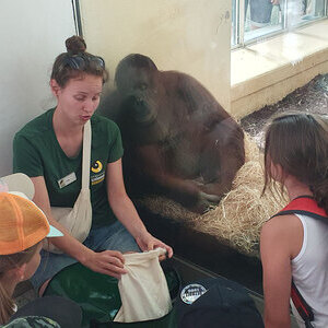 Sternsingerkinder bei den Orang-Utans