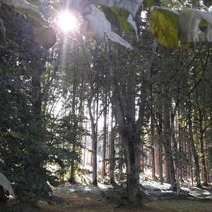 Impulswanderung KBW Lasberg