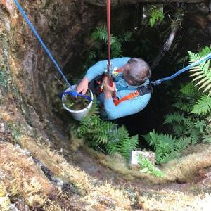 Brunnenreinigung 2022