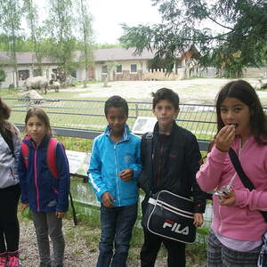 Kinderausflug Schmiding