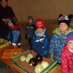 Markttag Kindergarten