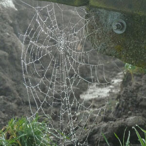 Redaktionsausflug Scharten