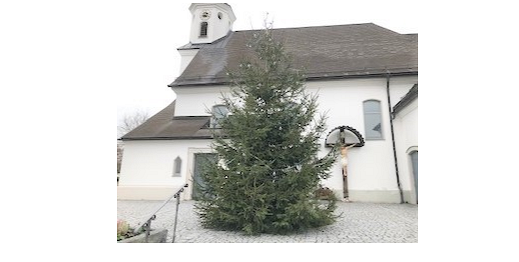 Christbaum vor Kirche vom KOV aufgestellt