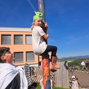 Maibaum, wo bist du?