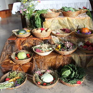 Pfarre Neumarkt im Mühlkreis