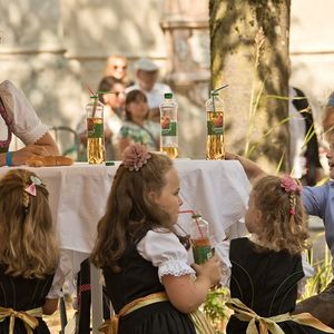 555 Jahre Stadtpfarrkirche St. Stephan