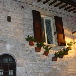 Pilgerfahrt nach Assisi vom 17. - 21. Februar 2014