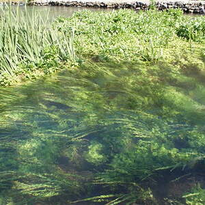 Ökumenische Reise ins Hl. Land