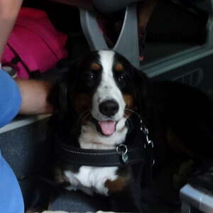 Ministrantenausflug 2016, Pfarre Neumarkt im Mühlkreis