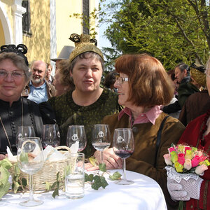 60 Jahre Goldhauben 2011