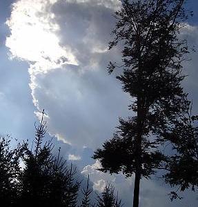 Naturerlebnisweg Pfarrwald Vöcklabruck