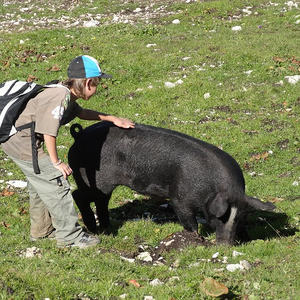 Bergandacht Dümlerhütte