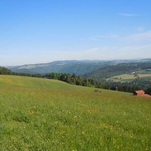 meditative Pilgerwanderung 