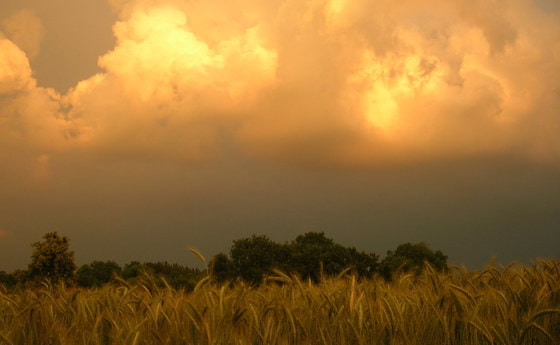Angst vor Verknappung - es ist genug für alle da!
