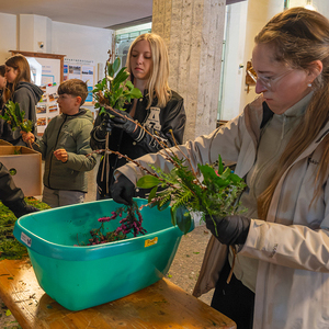 Palmbuschenbinden Pfarre Kirchdorf an der Krems