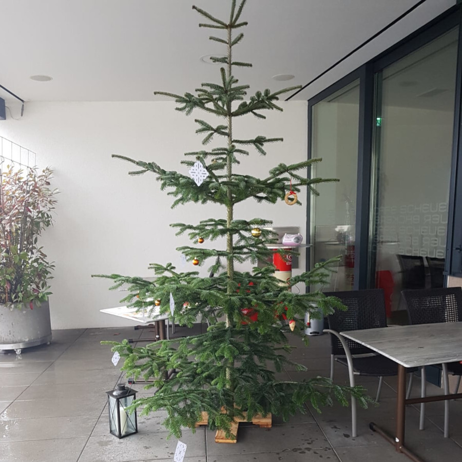 Weg zur Weihnacht / © Pfarrgemeinde Haibach Weg zur Weihnacht