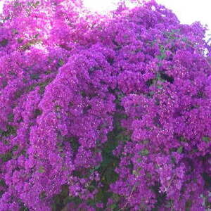 Pfarr-Reisen 2015 und 2016