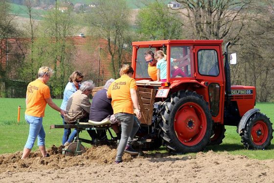Fleißiges Arbeiten auf dem Kartoffelacker