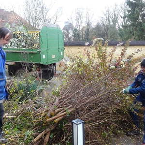 Kirchensanierung - Grünanlage