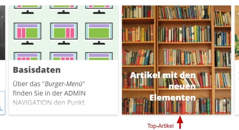 Screenshot Top-Artikel