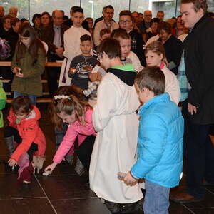 'Barmherzigkeit - gut mit der Schöpfung umgehen'