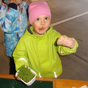 Markttag Kindergarten