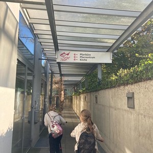 Die Kids beim Losgehen