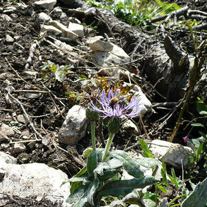 Bergmesse Ennserhütte