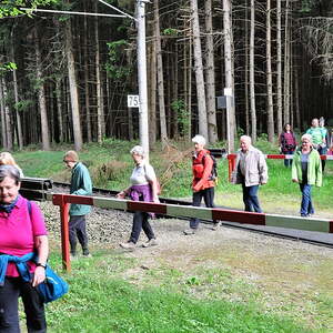 im Stierlingerwald, Gem. Bürmoos