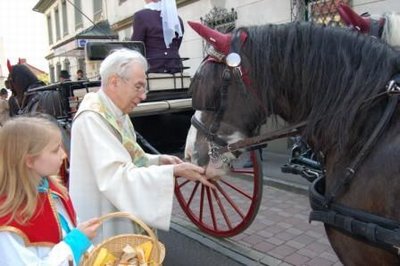 Pferdesegnung / Pfarre Pfarrkirchen bei Bad Hall