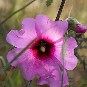Bibelschule in Israel