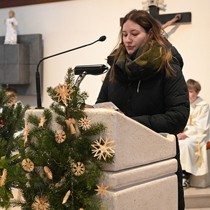 Einleitungstext von Michaela Postlmayr