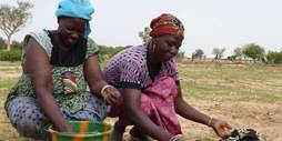 Burkina Faso - Leben mit dem Klimawandel