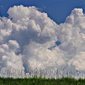 Vorarlbergreise der Kokuwawis