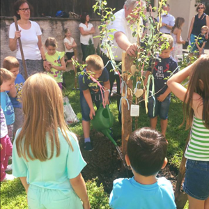 Nun wird´s Bäumchen noch gut eingegossen!!!