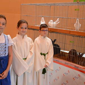 Fest des Hl. Franz von Assisi