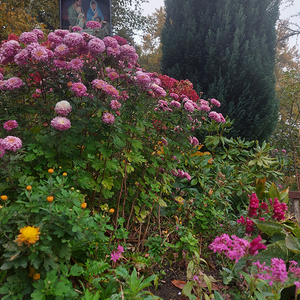 kfb Wallfahrt 2022 - 8. Oktober 