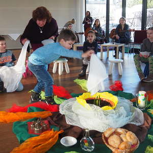 OLYMPUS DIGITAL CAMERA         