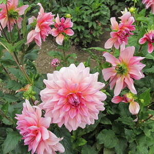 kfb Ausflug 2017 Pfarre Neumarkt im Mühlkreis