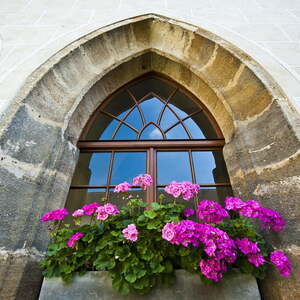 Kreuzgarten im Sommer