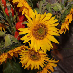 Familienmesse am 6.10.2013