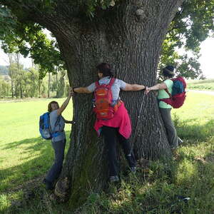 Ökum. Pilgerwanderung