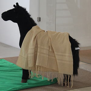 Der Esel hatte beim Kindergottesdienst eine Hauptrolle