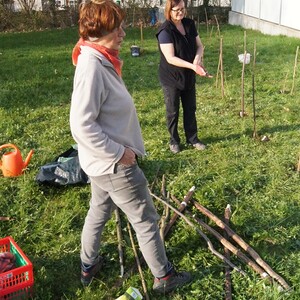 Wildheckenpflanzung auf der Pfarrwiese