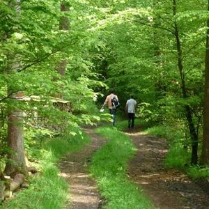 Firmvorbereitung und Firmung