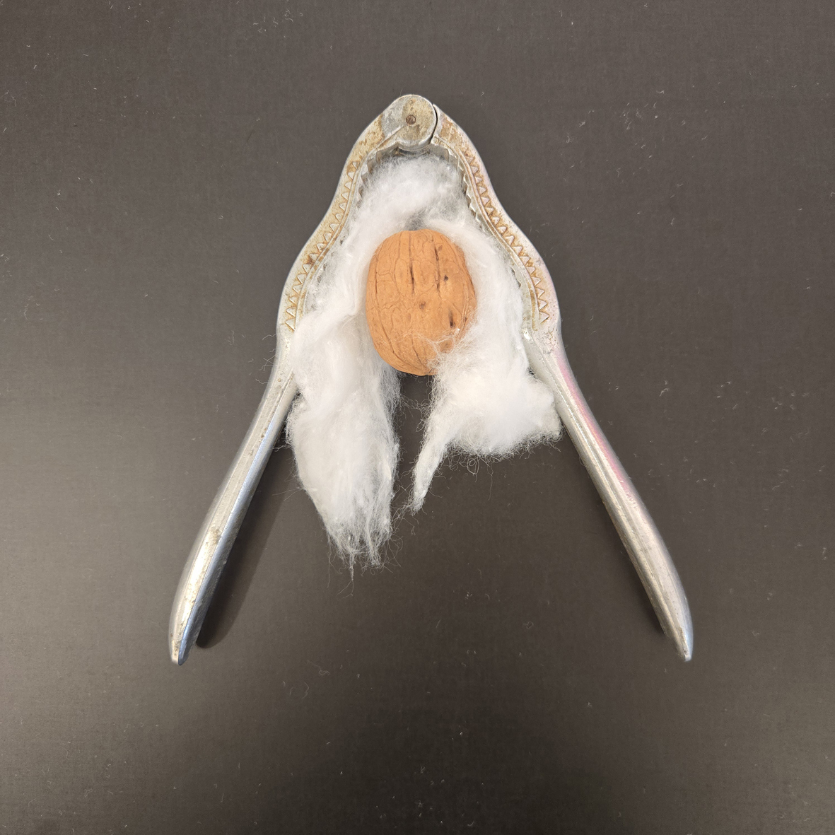 Nussknacker mit in Watte gewickelter Nuss