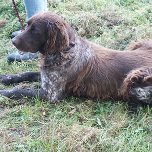 Auf den Spuren des heiligen Hubertus
